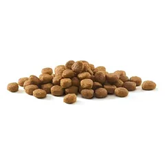 Purina ONE Sterilized su vištiena, sausas maistas katėms — 2 nuotrauka