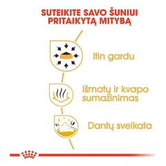 ROYAL CANIN Chihuahua Adult sausas pašaras šunims, BHN 1.5kg — 3 nuotrauka