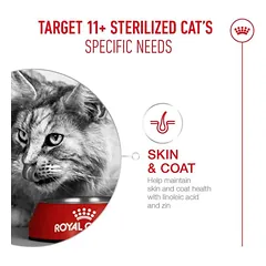 Royal Canin FHN C Ageing Steril 11+ sausas katėms, 2 kg — 4 nuotrauka