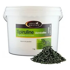 HORSE MASTER - Spirulina Vermicelli - Horse Master