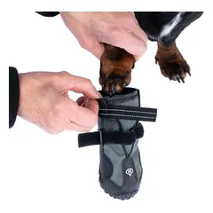 Nomad Tales Spirit batai šunims, Vidutiniams 11–25 kg — 4 nuotrauka