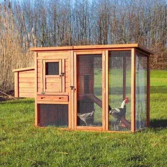 Trixie Chicken Coop With Enclosure vištidė su aptvaru, ruda, 170 x 77 x 105 cm