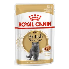 ROYAL CANIN British Shorthair Adult konservas12x85g (Padažas)