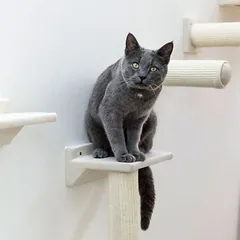 Kerbl Pet Kletterwand Monte Prado für Katzen, 6-teiliges Set — 4 nuotrauka