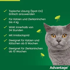 Advantage® für Katzen und Zierkaninchen