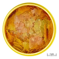 JBL ProNovo Color Flakes M, maistas žuvims, Ekonominė pakuotė: 2 x 250 ml — 2 nuotrauka