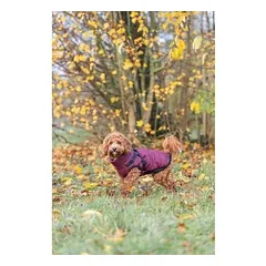 Trixie Pirou žieminė striukė su petnešomis S (40 cm), tamsiai raudona — 5 nuotrauka