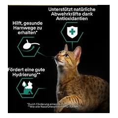 PURINA PRO PLAN Sterilised Adult Maintenance drėgnas maistas katėms 10 x 75 g, < 79 g — 4 nuotrauka
