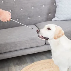 Trixie Target Stick mit Clicker, Trixie Target Stick mit Clicker 1 Stück — 5 nuotrauka