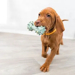 Trixie Junior mini hantelis, Labai mažiems < 4 kg — 4 nuotrauka