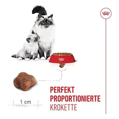 Royal Canin Mother & Babycat sausas maistas katėms, 3 - 4,9 kg — 5 nuotrauka