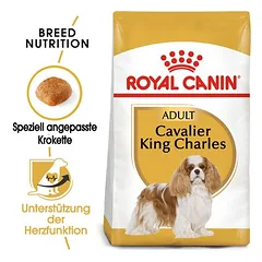 Royal Canin Cavalier King Charles Adult