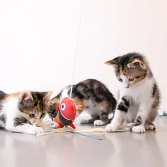TIAKI meškerė katėms Žuvis su piršto žiedu, 1 vnt. — 3 nuotrauka