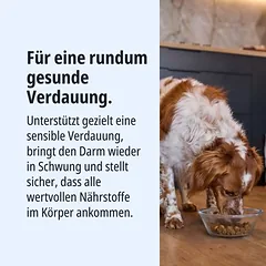 Virbac Veterinary HPM Dog Gastro Digestive Support G1, sausas maistas šunims — 2 nuotrauka