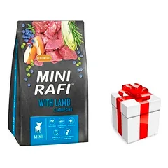 DOLINA NOTECI Rafi Mini sausas ėdalas šunims su ėriena 3kg + STAIGMENA ŠUNU