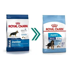 ROYAL CANIN Maxi Puppy sausas pašaras šunims 15 kg — 2 nuotrauka