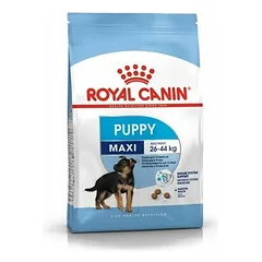 Royal Canin SHN Maxi Puppy sausas maistas šuniukams 1kg — 2 nuotrauka
