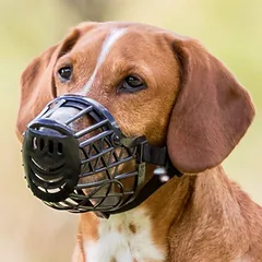 Trixie Plastic Muzzle snukis šunims, dydis M, snukio ilgis 6.6 cm, snukio apimtis 23.5 cm