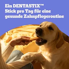Pedigree Dentastix dantų priežiūros skanėstai dideliems šunims (>25 kg), > 250 g — 5 nuotrauka