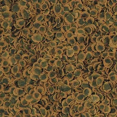 TetraPro Algae crisps (sveriamas)