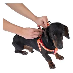 WARNER BROS Harry Potter petnešos Gryffindor, oranžinės, Vidutiniams 11–25 kg — 4 nuotrauka