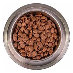 Monge BWild Adult All Breed Goose (žąsiena) sausas pašaras šunims, 12 kg — 3 nuotrauka