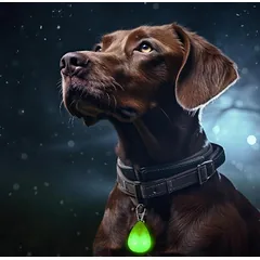 LED šviečiantis pakabukas deimantas žalias — 3 nuotrauka
