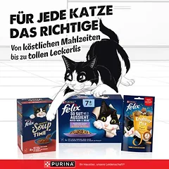Felix „So gut wie es aussieht“ Senior maišeliai, drėgnas maistas katėms 48 x 85 g, 80 - 99 g — 5 nuotrauka