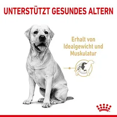 Royal Canin Labrador Retriever Adult 5+ sausas maistas šunims, Ekonominė pakuotė: 2 x 12 kg — 3 nuotrauka