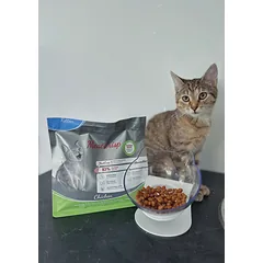 Platinum MeatCrisp Chicken subalansuotas visavertis sausas pašaras kačiukams, 3kg — 4 nuotrauka
