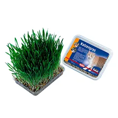 Nobby žolė katei, 100 g