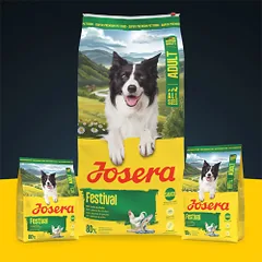 Josera Festival sausas maistas šunims, 12,5 kg — 2 nuotrauka