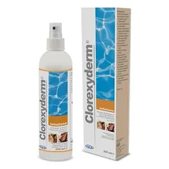 I.C.F. Clorexyderm Losung Spray 0,5% antibakterinis purškiklis, 200 ml photo