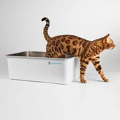 Lucky-Kitty Katzentoilette XXL