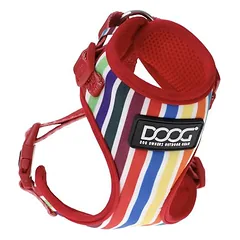 DOOG Neopren Geschirr Scooby multi-color stripped