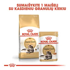 ROYAL CANIN FBN Maine Coon sausas maistas suaugusioms Meino meškėno katėms 2 kg — 5 nuotrauka