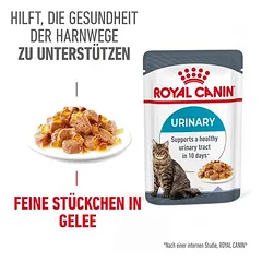 Royal Canin FCN Urinary Care drebutyje, drėgnas maistas katėms — 4 nuotrauka
