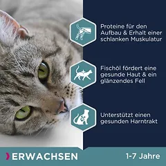 Eukanuba Top Condition 1+ Adult, sausas maistas katėms, 1,5 - 2,9 kg — 5 nuotrauka