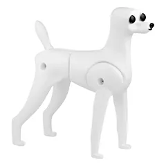 Mr. Jiang Teddy Model Dog - šunų kirpimo praktikos manekenas, be kailio
