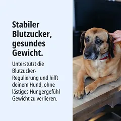 Virbac Veterinary HPM Dog Weight Loss & Diabetes W1, sausas maistas šunims, 5 - 9,9 kg — 2 nuotrauka