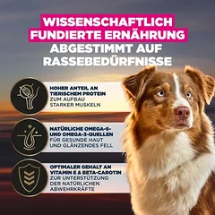 Eukanuba Adult Breed Care Australian Shepherds, sausas maistas šunims — 2 nuotrauka