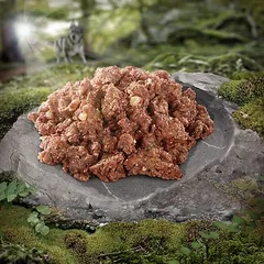 Wolf of Wilderness JUNIOR drėgnas maistas šunims 6/24 x 800 g, > 500 g — 2 nuotrauka