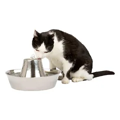 PetSafe Seaside Stainless Pet Fountain 1.8L - fontanas katėms ir šunims, pagamintas iš nerūdijančio plieno, Steel — 2 nuotrauka