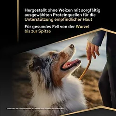 PURINA PRO PLAN Large Robust Adult Sensitive Skin su lašiša, sausas maistas šunims — 3 nuotrauka