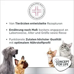Concept for Life Veterinary Diet Renal su lašiša, drėgnas maistas katėms — 4 nuotrauka