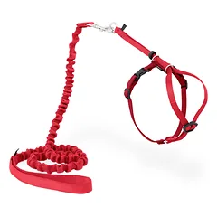 PetSafe Easy Walk kačių petnešos - petnešos ir bungee pavadėlis katėms