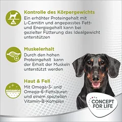 Concept for Life Mini Sterilised sausas maistas šunims — 3 nuotrauka