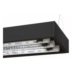 Aquael Ultrascape 60 Forest Set, 60x30x36 cm, 64,8 l — 4 nuotrauka