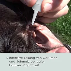 VeaVet Lebermoos ausų skalavimo priemonė, Dideliems 26–45 kg — 3 nuotrauka