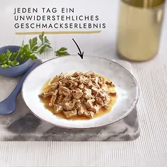 Gourmet Perle mišrus rinkinys, drėgnas maistas katėms 60 x 85 g, Erlesene Streifen in Sauce (4 Sorten) — 5 nuotrauka